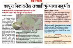 WhatsApp-Image-2025-07-17-at-10.59.17