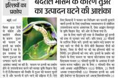 WhatsApp-Image-2026-02-06-at-04.12.47-5