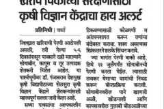 WhatsApp-Image-2026-07-16-at-20.08.10